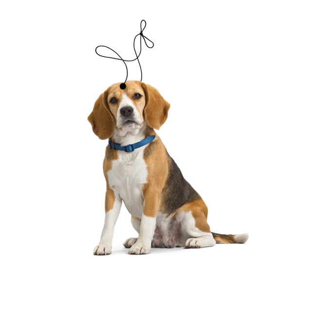 custom pet cutout air freshener